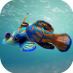 ����3D�ˮ���