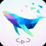 �ȹ�������