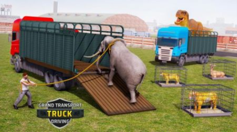 �����������俨��