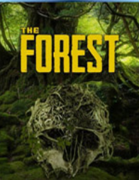 ���� ���İ�