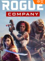 ������˾ �ⰲװ��