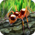 ��������ģ����