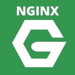 Nginx() v1.19.6 ȶ