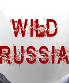 ��Ұ�Ķ���˹ �ƽ��