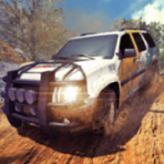 ����ԽҰ��ʻ