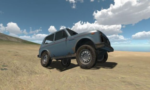 ����ԽҰ��ʻ