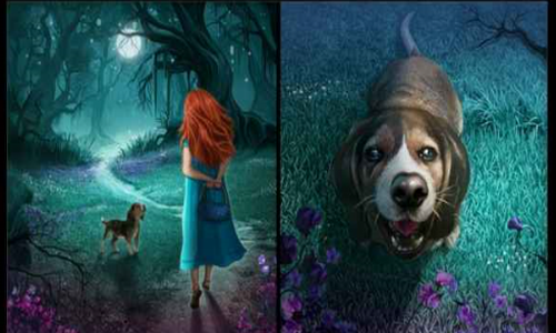 ����¶��