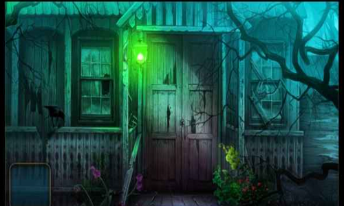 ����¶��