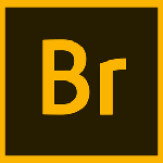 Adobe Bridge 2022(ͼƬ�޸Ĺ�������) v12.0.0.234 ֱװ��