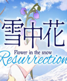 ѩ�л� ���İ�