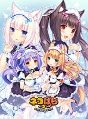 �ɿ�����������3 ���İ�