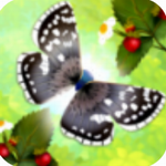 ����֮��ҹ2