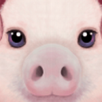 �ռ�ũ��ģ����