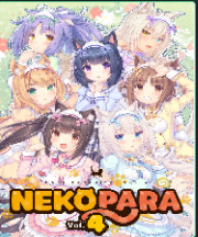 �ɿ�����������4 ���İ�