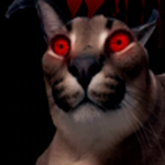 ��������ҹ����