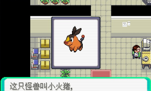 �ڴ����ֱ����ķ�ŭ