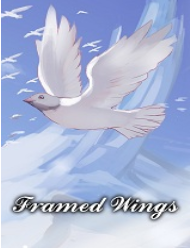 ����֮�� �ⰲװ��