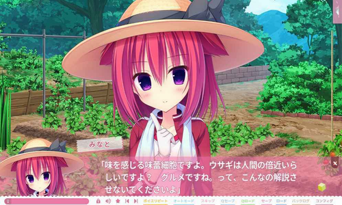 ��ݮ������