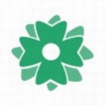 ӯ��С˵