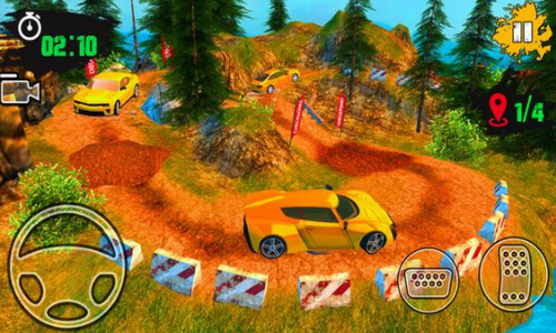 ��ʵԽҰ���⳵