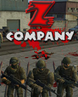 Z��˾ �ⰲװ��