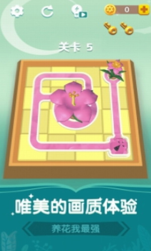 ��������ǿ