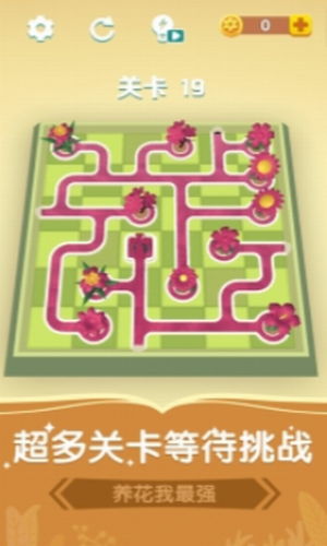 ��������ǿ