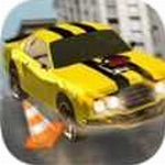 ��ʻ��ͣ����ʦ