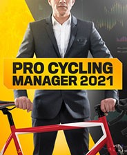 ְҵ���г��Ӿ���2021 ���İ�