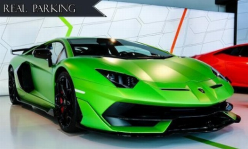 ����ͣ����