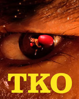 TKO �ⰲװ��