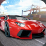 ���γ�������