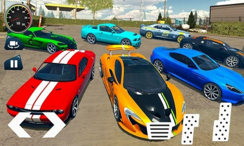 ���γ�������