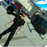 ��ʵ���г���