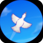 ����֮��