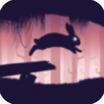 �ñ�������