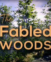 ��˵�е�ɭ�� �ⰲװ��