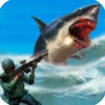 �����貶��