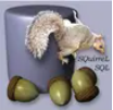 SQuirrel SQL Client(ù) v4.0.0 Ѱ