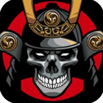 ������ʿ