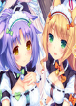 �ɿ�����������18X����