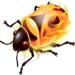 firebug(վԵԹ) İ