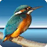 Highlight(��ʽ�ļ�����) v3.59 �ٷ���