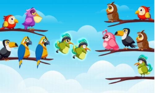 小鸟种类拼图