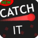 ��׽������