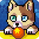 ���س���Z