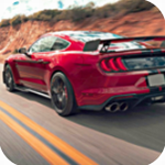 Ұ������Ư��ģ����