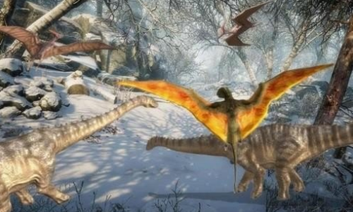 ������ģ����