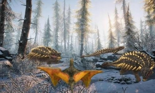 ������ģ����