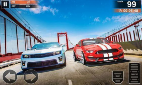 ɽ�������������